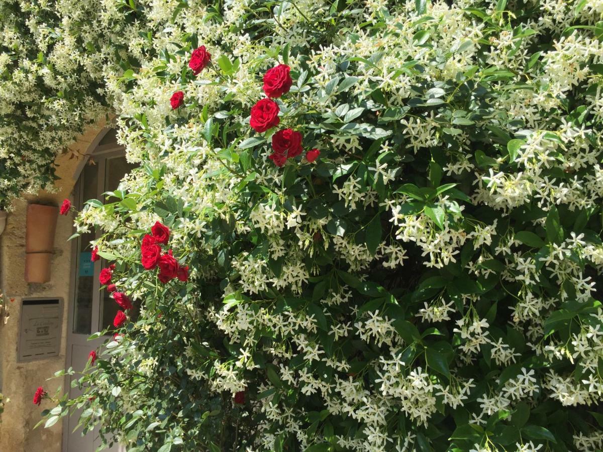 Hotel La Cordiere Lourmarin Zewnętrze zdjęcie